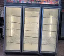 Freezer vertical de 3 puertas